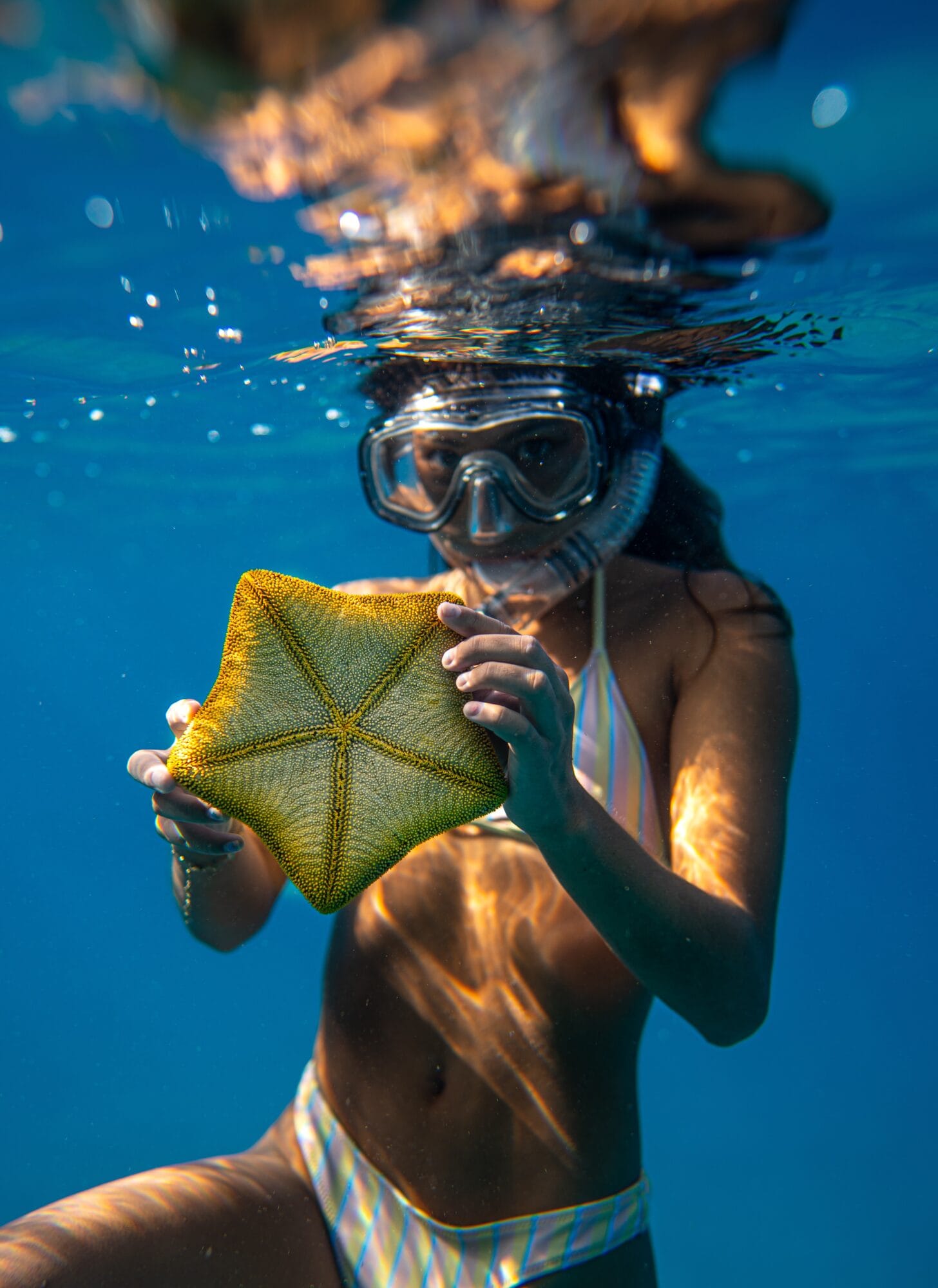 Snorkelling on a Yacht