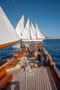 Noblesse Yachts